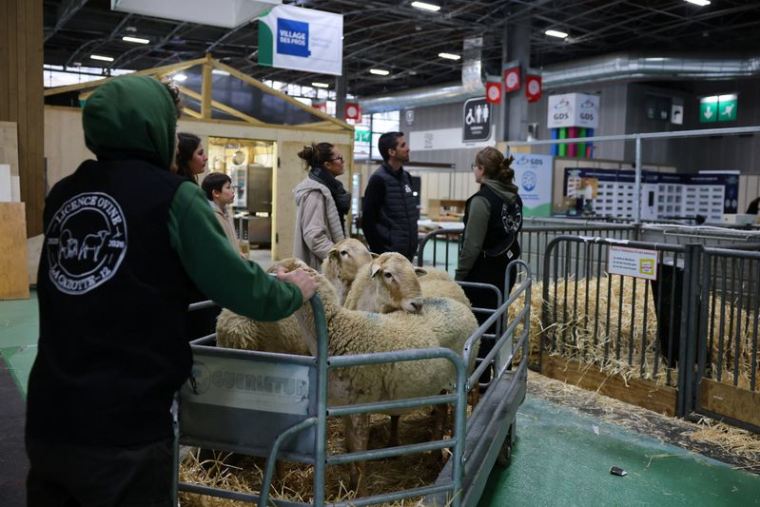 Le Salon international de l'agriculture à Paris
