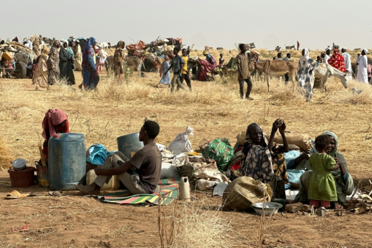 Des déplacés des combats près de Tawila, dans la région soudanaise du Darfour, le 13 avril 2025 ( AFP / - )