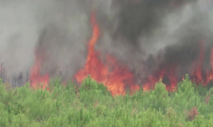 Gironde: les pompiers luttent contre les flammes près de la plage du Grand Crohot
