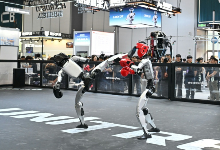 Deux robots de l'entreprise Unitree font une démonstration de combat au Salon mondial des robots de Pékin, le 19 août 2026 ( AFP / ADEK BERRY )