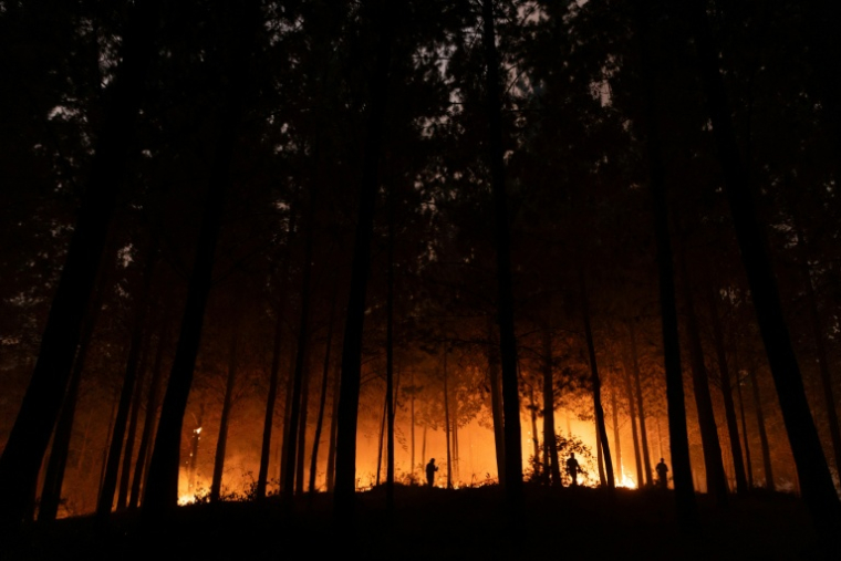 Des habitants s'organisent pour tenter d'éteindre la végétation en feu lors d'un incendie de forêt à Florida, près de la ville de Concepcion, au Chili, le 19 janvier 2026 ( AFP / Raul BRAVO )