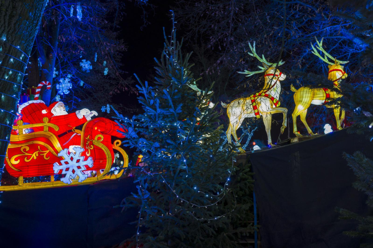 ( AFP / JEAN-CHRISTOPHE VERHAEGEN )