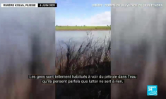 Pollutions des eaux : marées noires à répétition en Russie et "morve de mer" en Turquie