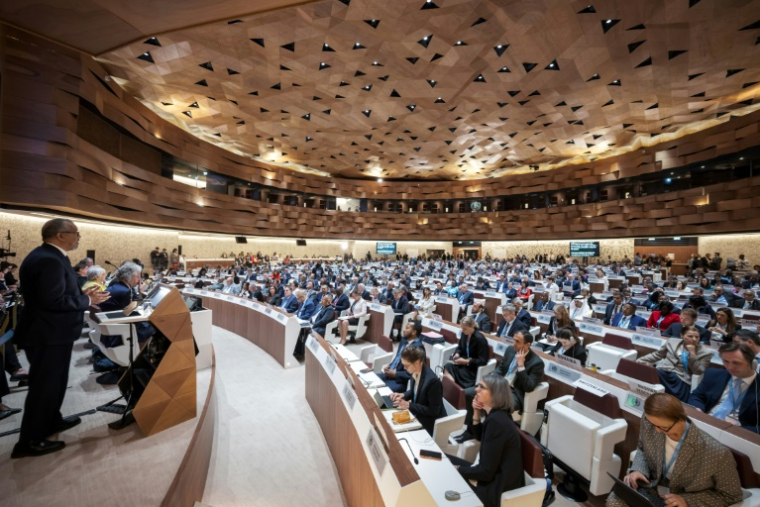 Le patron de l'OMS Tedros Adhanom Ghebreyesus, à gauche, lors de l'assemblée générale à Genève, le 19 mai 2025 ( AFP / Fabrice COFFRINI )