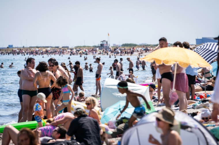 Des centaines de personnes essaient de se rafraîchir sur la plage d'Amager à Copenhague, le 27 juin 2026 ( Ritzau Scanpix / Emil Nicolai Helms )