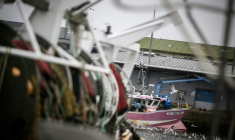 Le président du comité national des pêches appelle à "lever les obstacles" au renouvellement de la flotte de pêche française ( AFP / LOIC VENANCE )