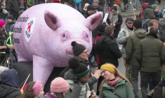 Manifestation pour une agriculture durable à Berlin