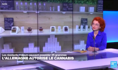 Marie Jauffret-Roustide : "Un des objectifs de la légalisation du cannabis est la sécurité publique"