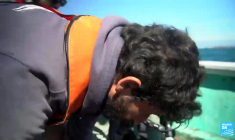 L'Atlas génétique des espèces marines