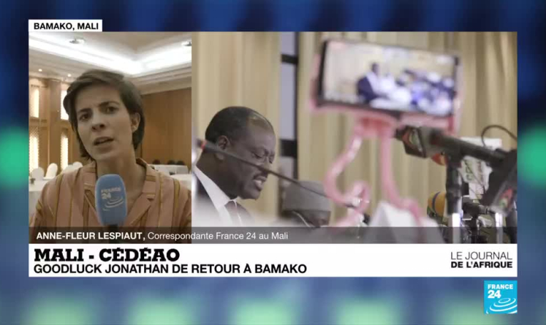 Putsch au Mali: Goodluck Jonathan de retour à Bamako