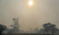 L'air de l'île indonésienne de Kalimantan pollué par des fumées d'incendies de forêt, le 20 août 2026 ( AFP / REINA )