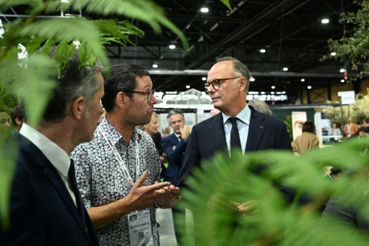 Le candidat Horizons à la présidentielle Edouard Philippe en visite au Salon du végétal à Angers, le 17 septembre 2026 ( AFP / Sebastien Salom-Gomis )
