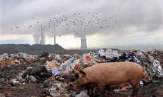 Selon l'ONU, les engagements actuels des pays mènent à 2% de baisse des émissions entre 2019 et 2030, au lieu des 43% préconisés pour limiter le réchauffement à 1,5°C. ( AFP / ROBERT ATANASOVSKI )