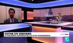 Chine : le coton du Xinjiang pointé du doigt