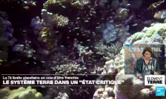 La 7è limite planétaire, l'acidification des océans, sur le point d'être franchie