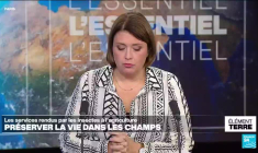 Les insectes: irremplaçables fournisseurs de services à l'agriculture