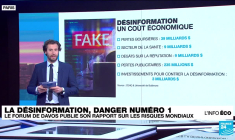 Désinformation : le risque numéro un pour l'économie mondiale en 2024