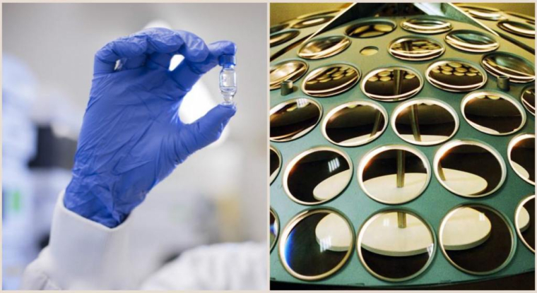 Sanofi et Essilorluxottica figurent parmi les plus fortes hausses du CAC 40 ce lundi. (© Essilorluxottica / Sanofi)