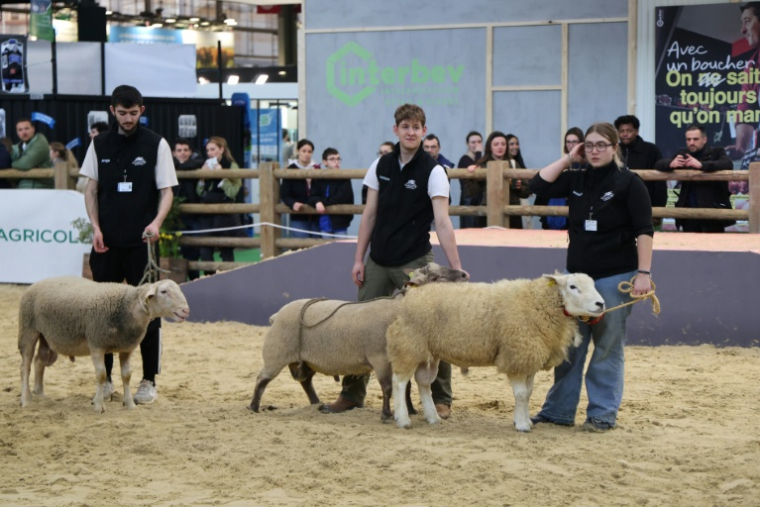 Le Salon de l'Agriculture à Paris le 21 février 2026 ( AFP / Ludovic MARIN )