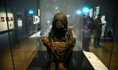 Une momie des Andes boliviennes nommée "Jeune femme des Andes" présentée lors de la visite de presse de l'exposition "Momies", au Musée de l’Homme à Paris, le 18 novembre 2025 ( AFP / JULIEN DE ROSA )