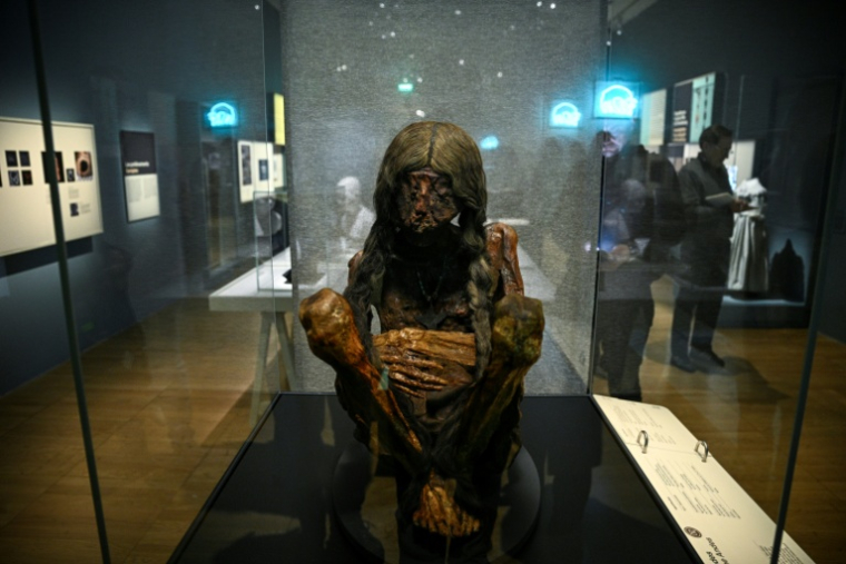 Une momie des Andes boliviennes nommée "Jeune femme des Andes" présentée lors de la visite de presse de l'exposition "Momies", au Musée de l’Homme à Paris, le 18 novembre 2025 ( AFP / JULIEN DE ROSA )