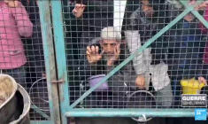 Guerre Israël-Hamas : hôpital Al-Chifa, trêve, famine... Le point sur la situation à Gaza