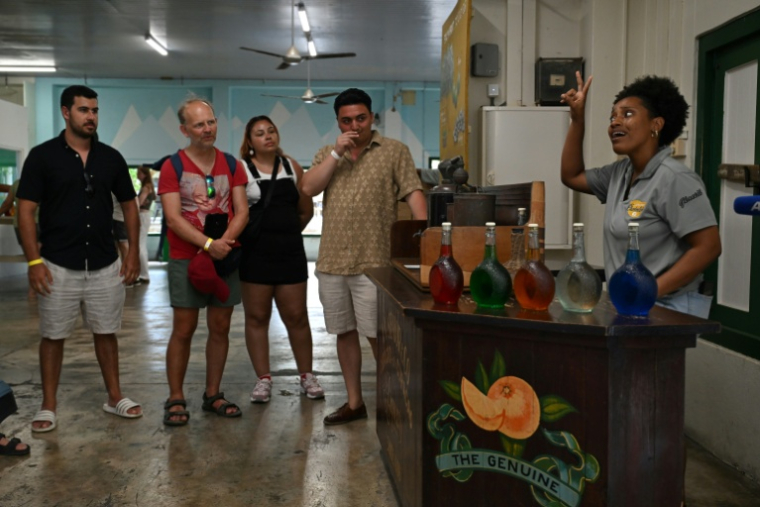 La guide Genesis Riley (D) explique à des touristes la production de liqueur curaçao dans la distillerie Willemstad, sur l'île néerlandaise de Curaçao, au large du Venezuela, le 9 avril 2026 ( AFP / Raul ARBOLEDA )