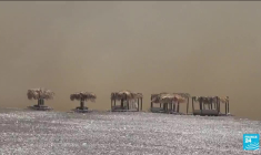 La Grèce en lutte contre les feux : nouveaux départs de feux, les autorités critiquées