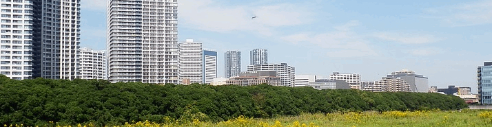 BNP Paribas Real Estate note un ralentissement de la demande placée et de l'investissement en immobilier de bureaux régional