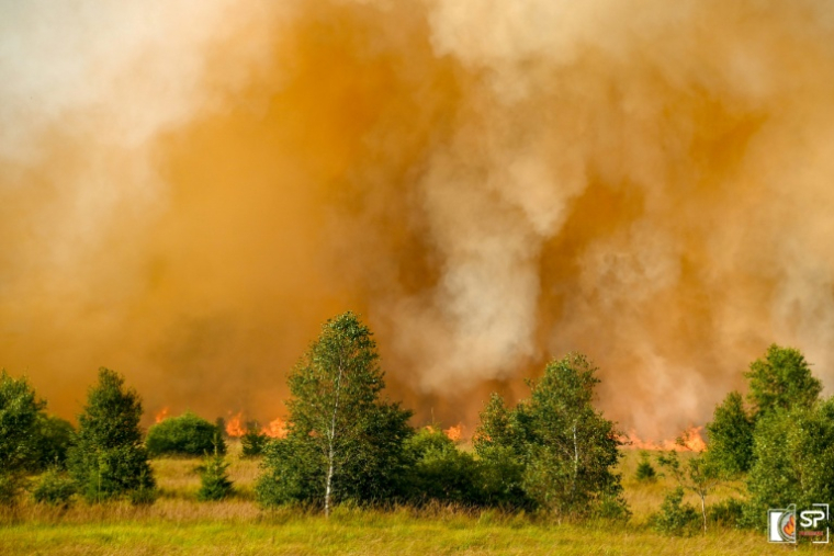 Photo non datée, diffusée le 17 août 2026 par VHP, montrant un pompier luttant contre un feu de forêt dans la réserve naturelle des Hautes Fagnes, en Belgique ( VHP / Steph Picture )