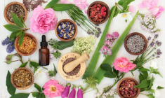 Les bienfaits des plantes sur la santé sont nombreux crédit photo : Getty images