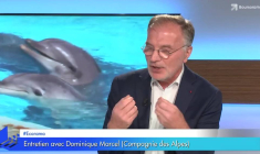 "Nous devons continuer d'investir car la concurrence va être exacerbée avec la crise !" selon Dominique Marcel (PDG de la Compagnie des Alpes)