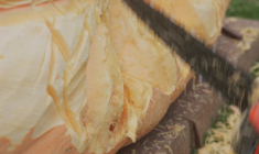 Une citrouille de 903kg remporte le concours annuel d'Halloween à Copenhague