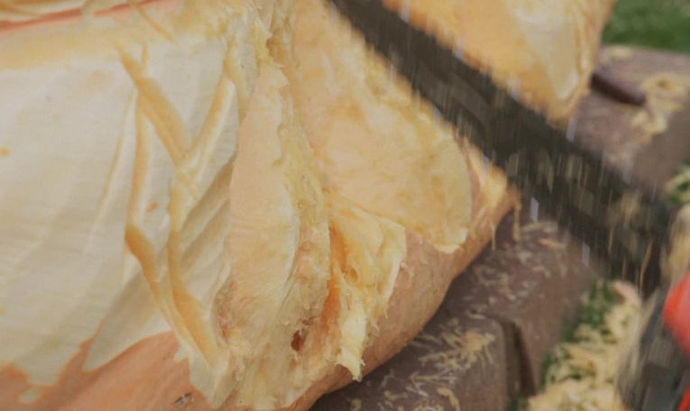 Une citrouille de 903kg remporte le concours annuel d'Halloween à Copenhague
