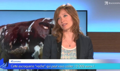 Cette escroquerie "vache" qui peut vous coûter 15 000 euros !