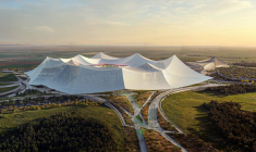 Trois millions de chiens pourraient être abattus en amont de la Coupe du monde au Maroc