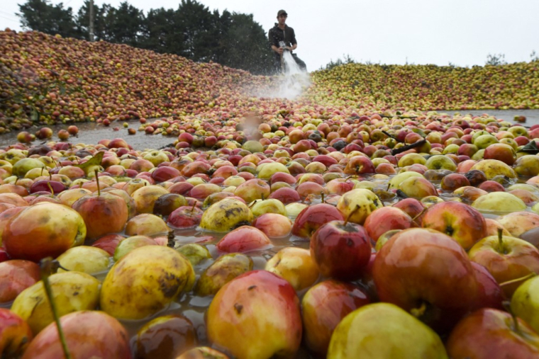 Un agriculteur à La Chapelle-Huon, le 23 octobre 2019. (illustration) ( AFP / JEAN-FRANCOIS MONIER )
