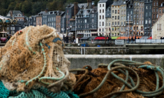 Le port d'Honfleur, dans le Calvados, le 1er novembre 2018 ( AFP / JOEL SAGET )