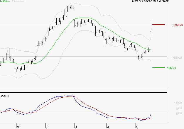 VUSIONGROUP : L'analyse ne suggère pas de baisse à moyen terme