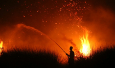Cette photo prise le 11 août 2026 montre la silhouette d'un villageois tentant d'éteindre un incendie de forêt à Palangkaraya, dans le centre de l'Indonésie ( AFP / REINA )