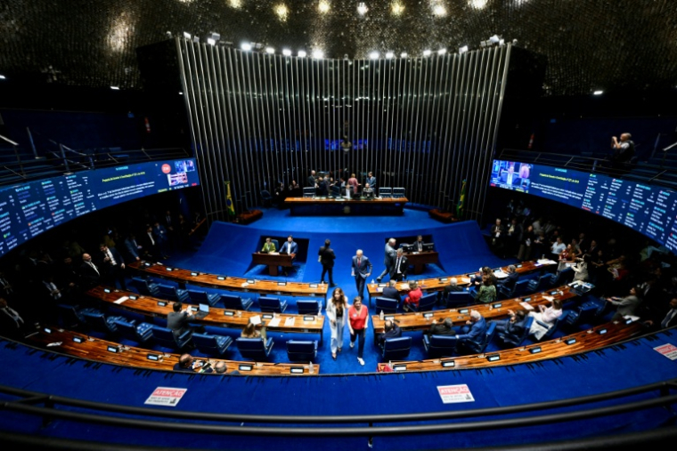 La salle plénière du Sénat brésilien lors d'une séance à Brasilia, le 14 octobre 2026 ( AFP / Evaristo Sa )