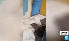 Haïti : le centre culturel Araka touché par la vague de violences qui secoue la capitale