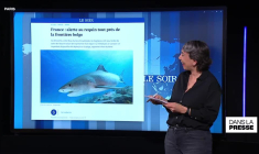 Gaza: "Trump doit faire cesser l'extermination des Gazaouis"