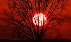 FRANCE: DES DÉFILÉS POUR RÉCLAMER DES MESURES PLUS AMBITIEUSES POUR LE CLIMAT