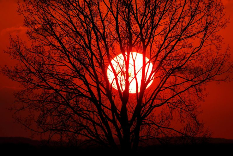 FRANCE: DES DÉFILÉS POUR RÉCLAMER DES MESURES PLUS AMBITIEUSES POUR LE CLIMAT