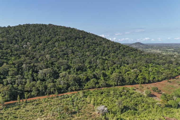Vue aérienne d'une partie de la colline boisée de Mrima hill, à Lunga-Lunga, dans le sud-est du Kenya près de la frontière tanzanienne, le 26 septembre 2025 ( AFP / Tony KARUMBA )