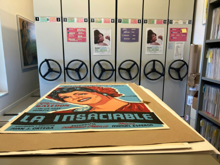 Une salle de stockage de disques et d'affiches composant la collection de musique latino-américaine de Gladys Palmera, le 24 avril 2025 à L'Escurial, près de Madrid ( AFP / Alfons LUNA )