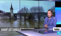 Copier les castors pour stopper les inondations