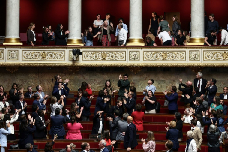 Fleur Breteau, membre du collectif Cancer Colère, intervient depuis la tribune réservée au public, à l'Assemblée nationale (en haut au centre), pour protester contre le vote de la loi "Duplomb", le 8 juillet 2025 ( AFP / Guillaume BAPTISTE )
