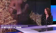 Hélène Grosbois : "L'agriculture chimique est extrêmement coûteuse"
